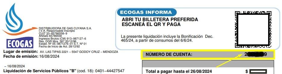 Ecogas Factura: Cómo Consultar Y Emitir Fácilmente, Número de Cuenta. Foto: Ecogas.com.ar.