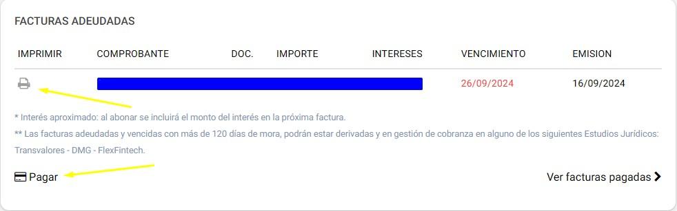 Ecogas Factura: Cómo Consultar Y Emitir Fácilmente, Facturas Adeudadas. Foto: Ecogas.com.ar.