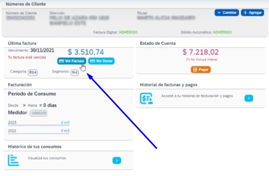 Metrogas Factura: Accedé, Descargá y Pagá Fácilmente. Imagen del sitio web de Metrogas.