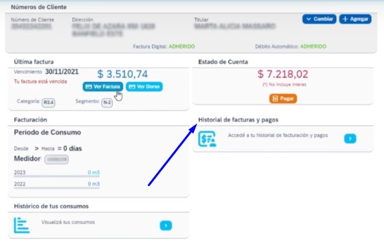 Metrogas Factura: Accedé, Descargá y Pagá Fácilmente. Imagen del sitio web de Metrogas.