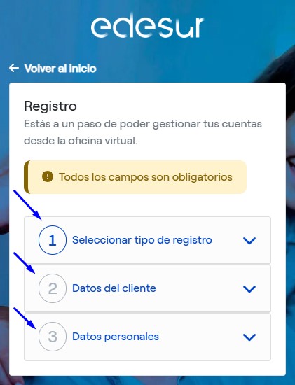 Cómo Consultar Y Descargar Tu Factura De Edesur Fácilmente. Imagen extraída del sitio web de Edesur.